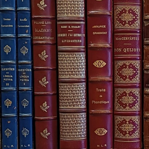 CAPA 4006